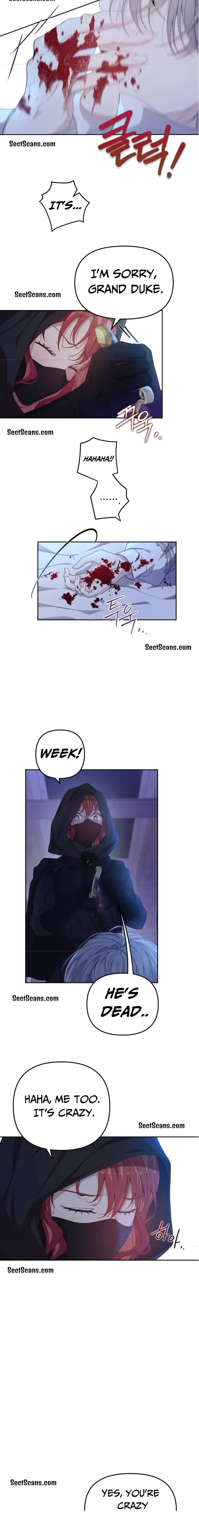 When Villainess And Villain Meet Chapter 3 page 16