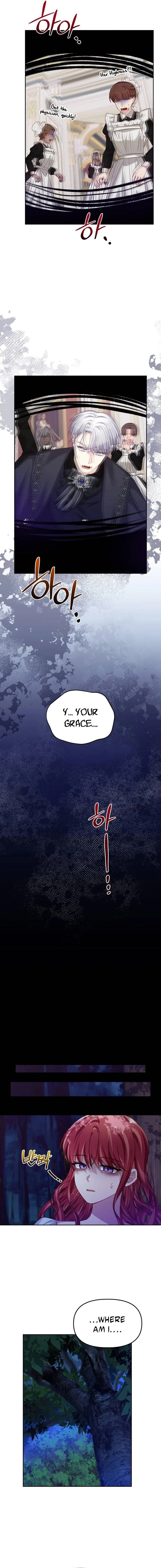 When Villainess And Villain Meet Chapter 91 page 11