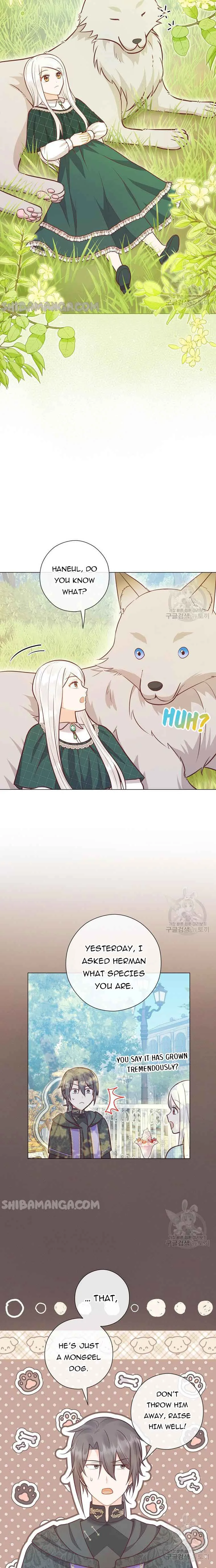 Who Do You Like More, Mommy or Daddy? Chapter 41 page 3