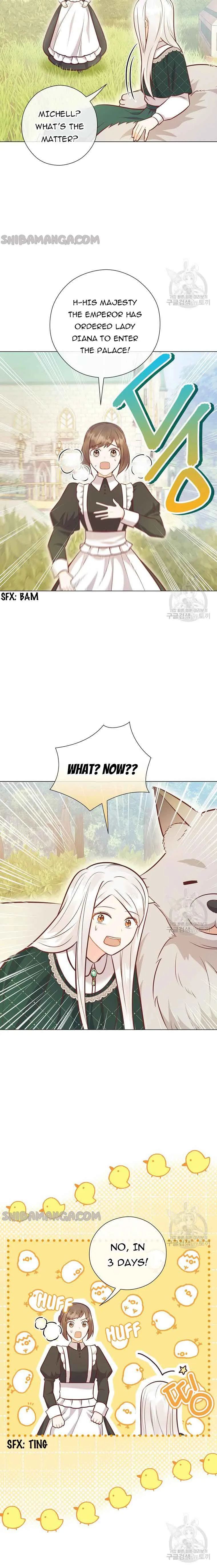 Who Do You Like More, Mommy or Daddy? Chapter 41 page 5