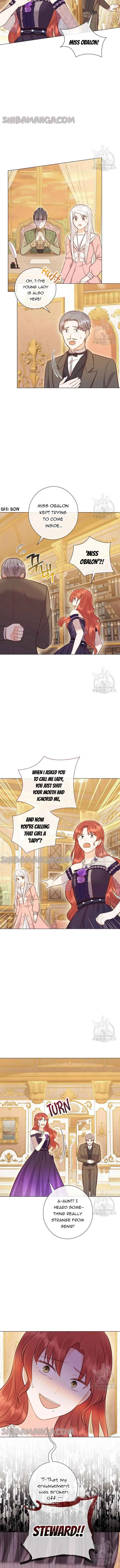 Who Do You Like More, Mommy or Daddy? Chapter 51 page 5