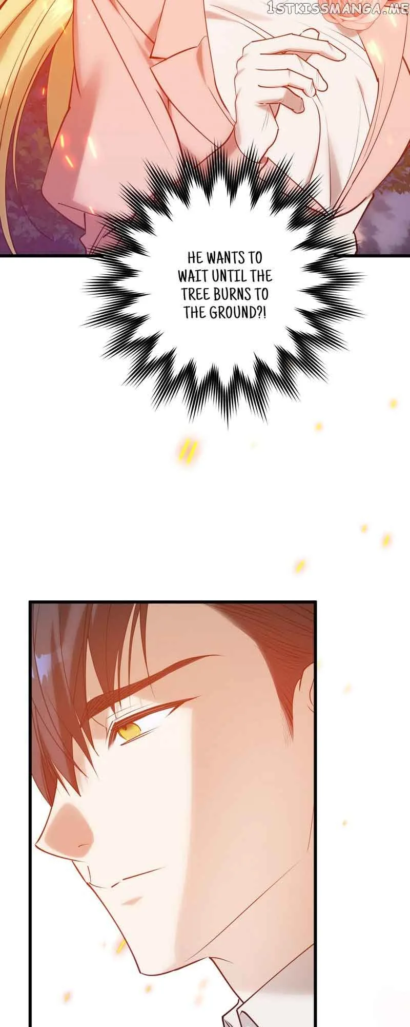 Who Knew Dragons Could Be This Cute Chapter 38 page 11