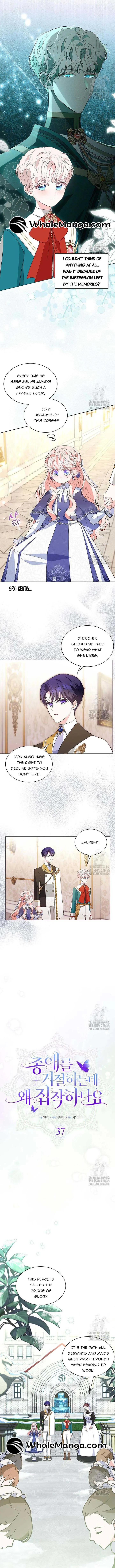 Why Are You Obsessed When I Reject Your Favor? Chapter 37 page 7