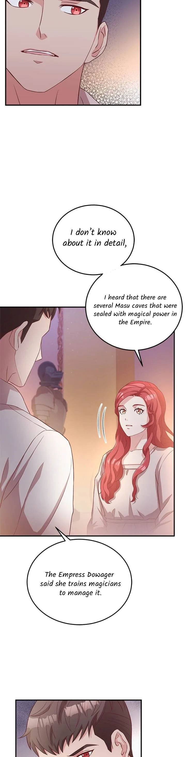 Why The King Needs A Secretary Chapter 13 page 3