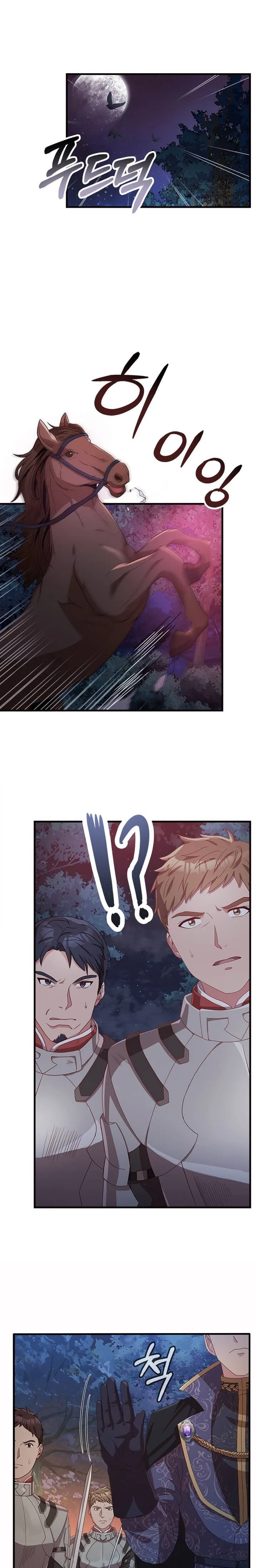 Why The King Needs A Secretary Chapter 13 page 18