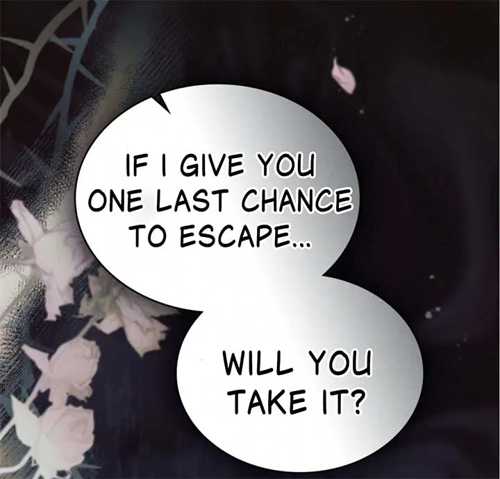 Wild Night Chapter 68 page 36