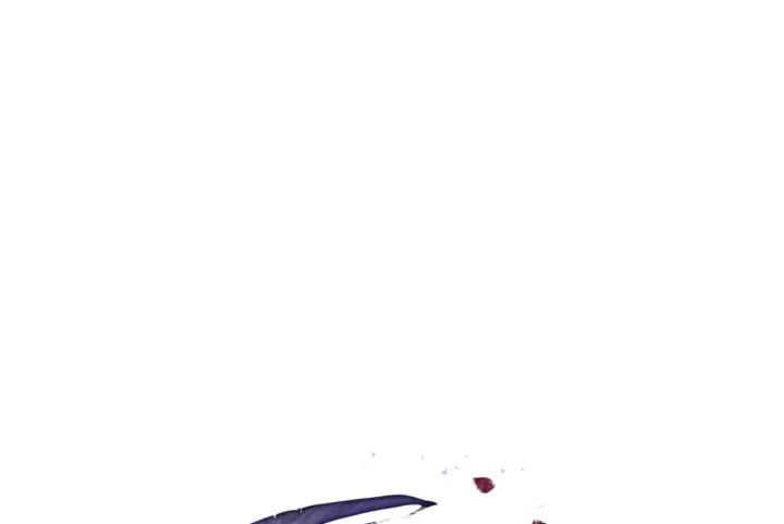 Wild Night Chapter 80 page 73
