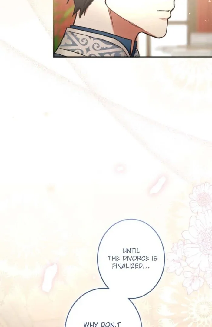 You Promised to Divorce Me After 10 Years, Right Dear? Chapter 13 page 16