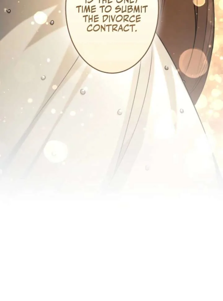 You Promised to Divorce Me After 10 Years, Right Dear? Chapter 25 page 22