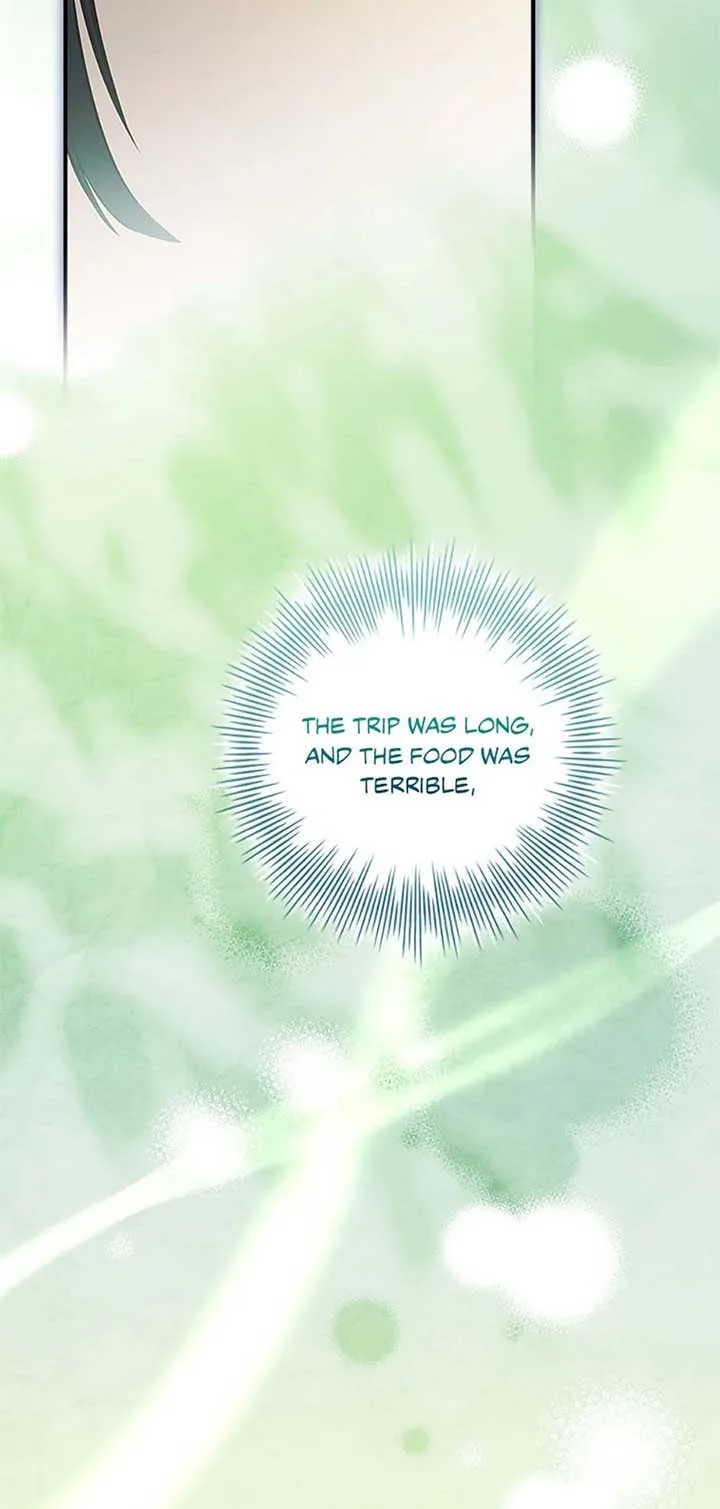 You Turned Off the Pain Setting? Chapter 44 page 48