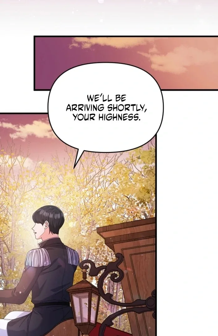 Your Highness, This Is Just a Novel Chapter 6 page 93