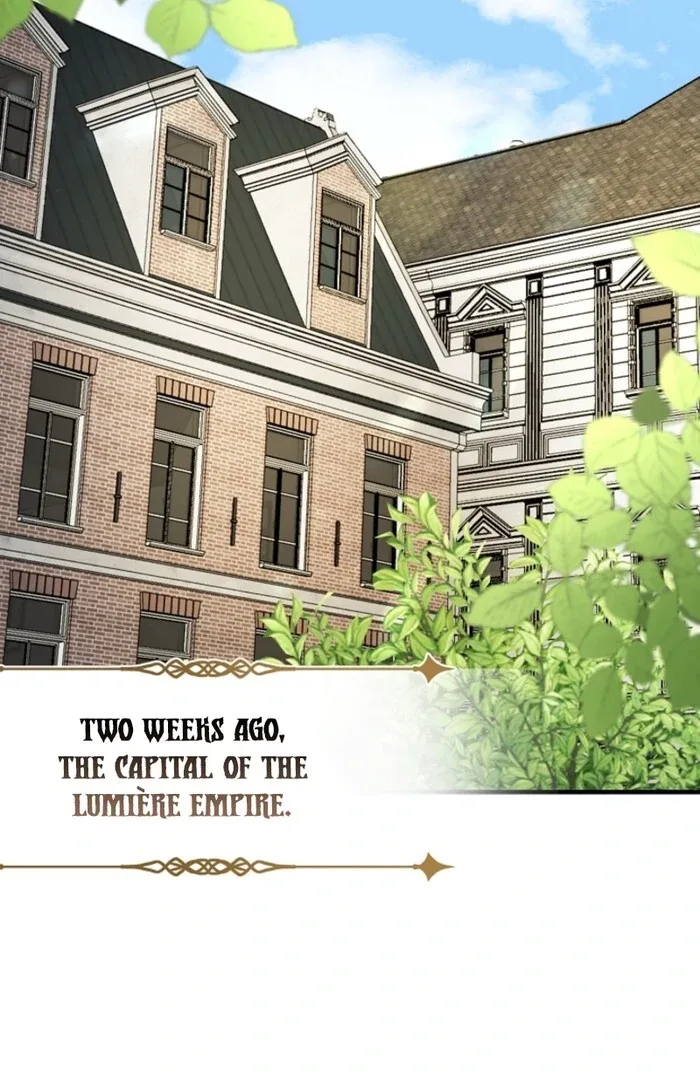 Your Highness, This Is Just a Novel Chapter 1 page 45