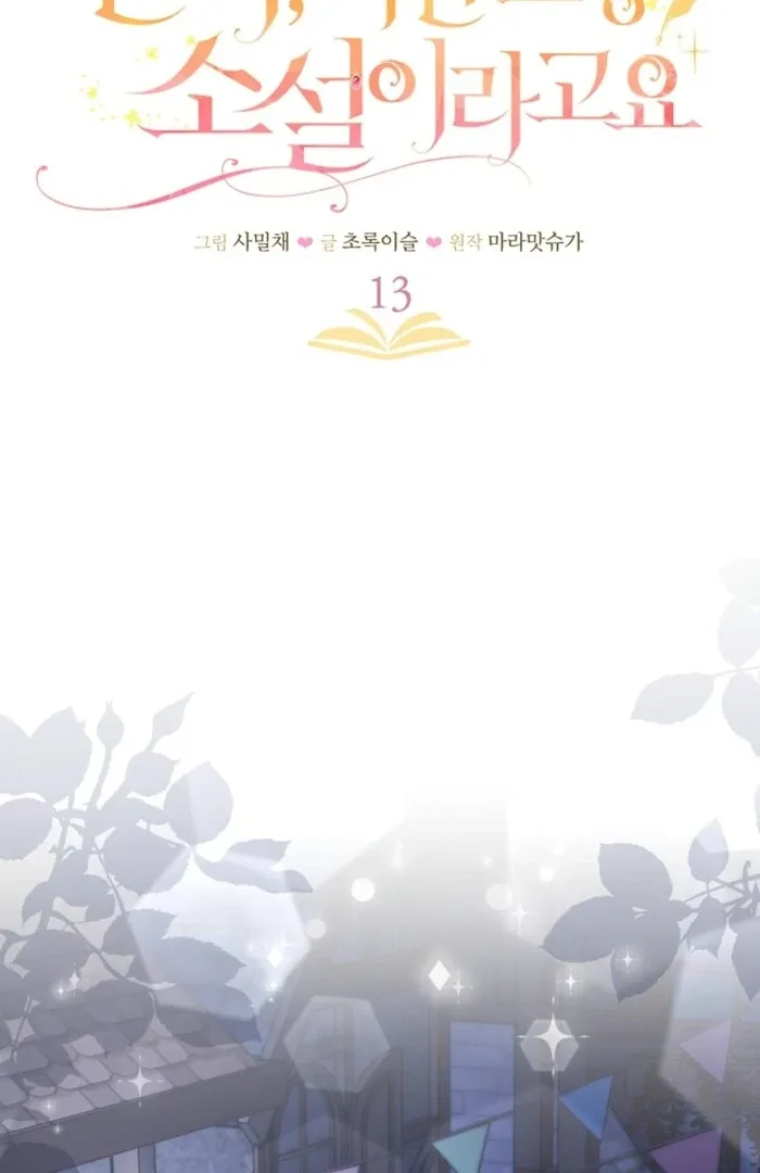 Your Highness, This Is Just a Novel Chapter 13 page 19