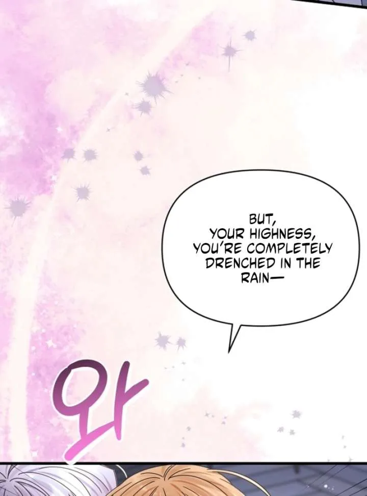 Your Highness, This Is Just a Novel Chapter 15 page 13