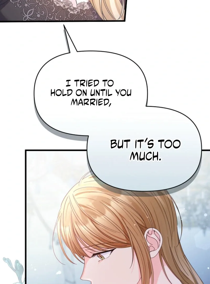 Your Highness, This Is Just a Novel Chapter 19 page 73