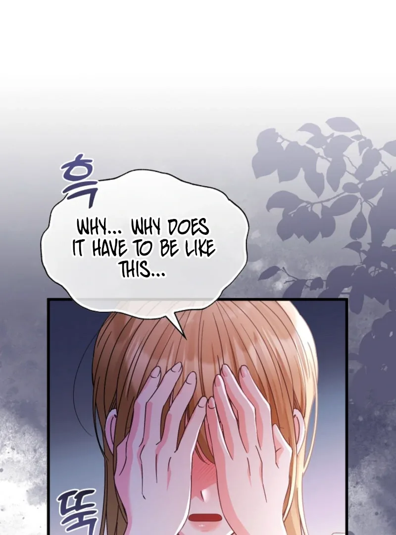 Your Highness, This Is Just a Novel Chapter 20 page 40