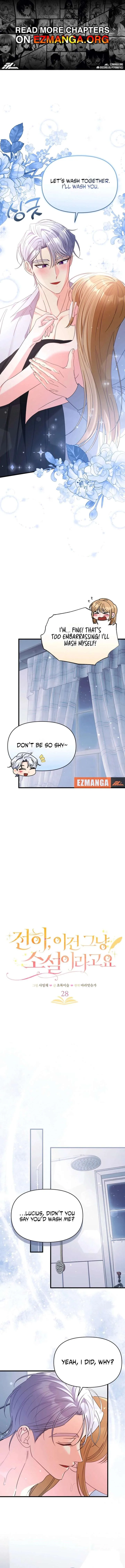 Your Highness, This Is Just a Novel Chapter 28 page 2