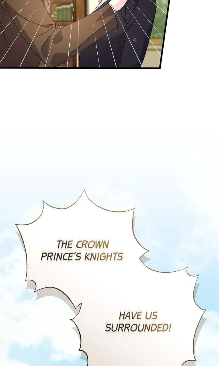Your Highness, This Is Just a Novel Chapter 29 page 3