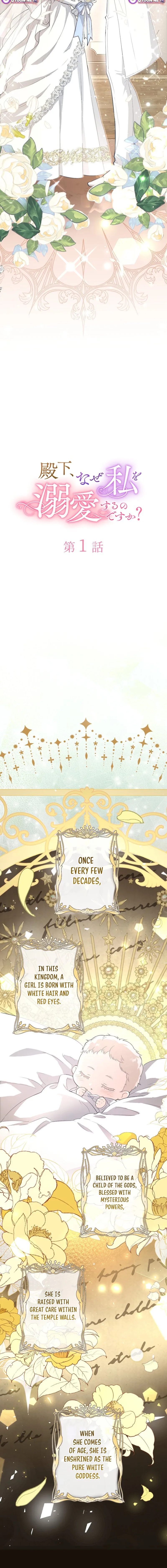 Your Highness, Why Do You Dote on Me So? Chapter 1 page 5