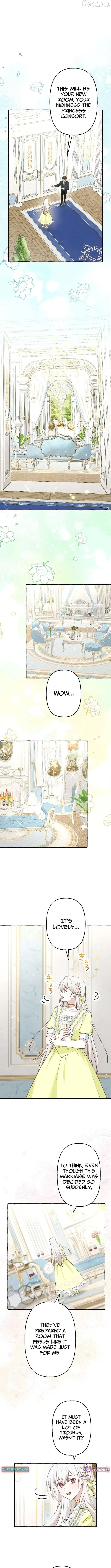 Your Highness, Why Do You Dote on Me So? Chapter 12 page 11