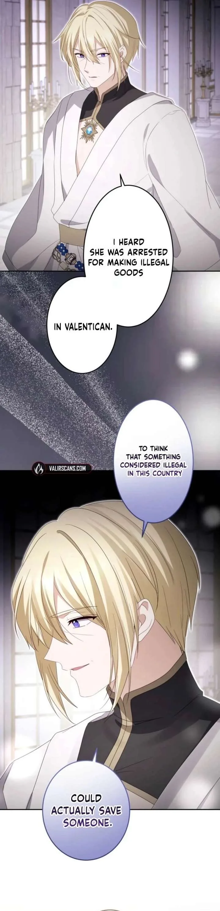 Your Highness, Won’t You Try This Tonight? Chapter 27 page 25