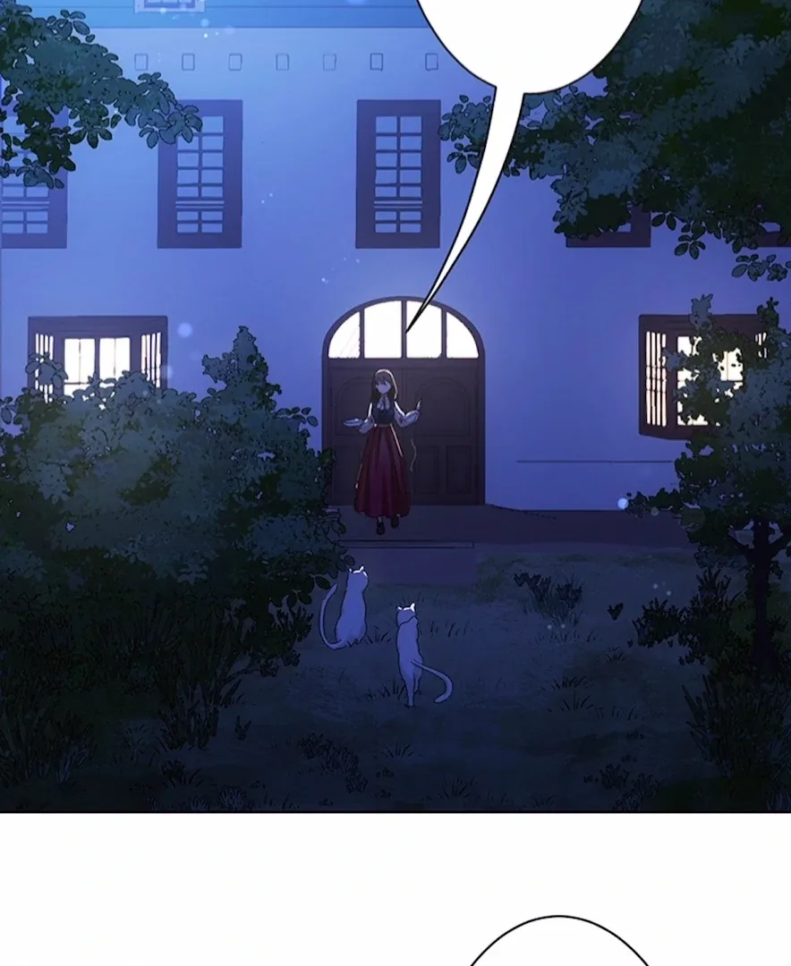Your Majesty the King, I Will Educate You Chapter 1 page 77