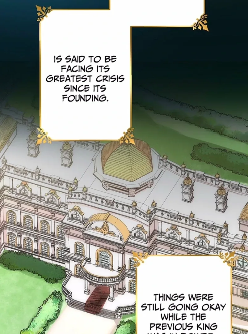 Your Majesty the King, I Will Educate You Chapter 1 page 48
