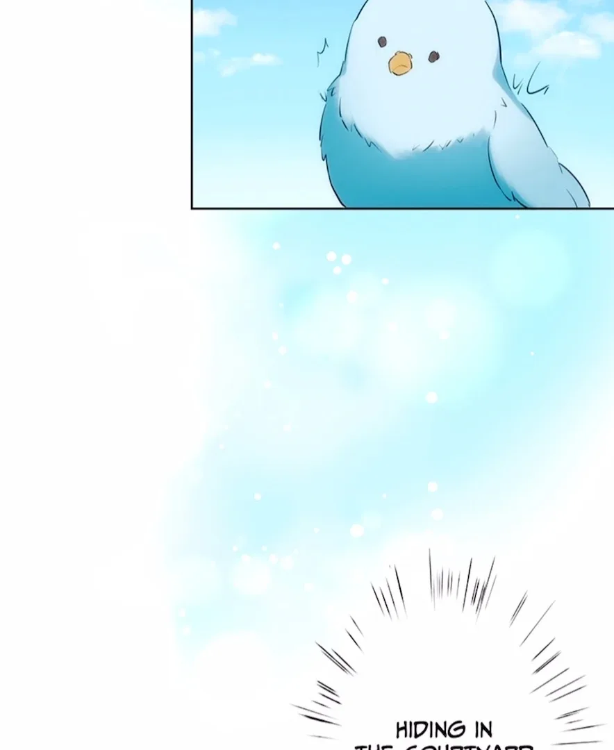 Your Majesty the King, I Will Educate You Chapter 14 page 66