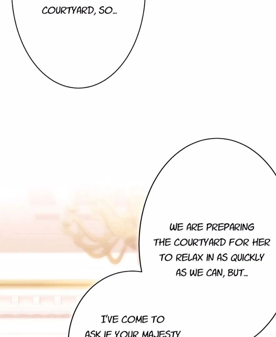 Your Majesty the King, I Will Educate You Chapter 34 page 13
