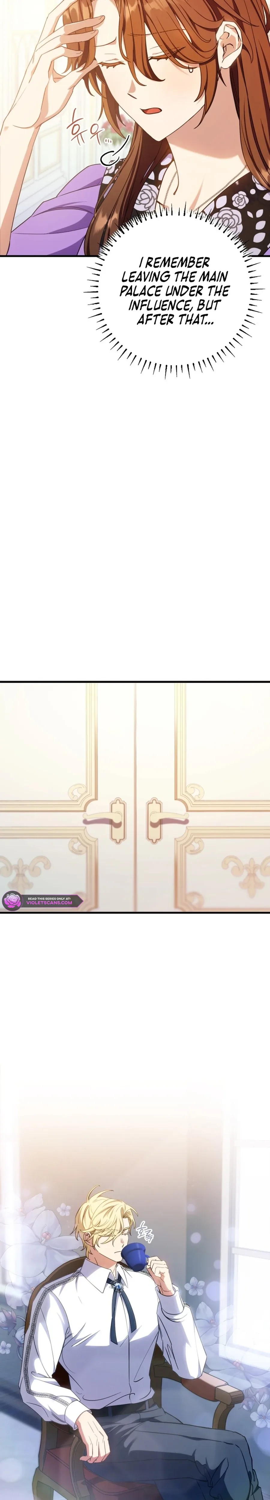 Your Majesty, Please Stop Now Chapter 26 page 5
