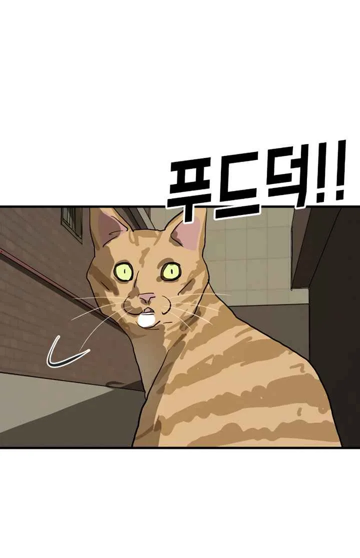 One Day, Suddenly, Seoul Is Chapter 14 page 64