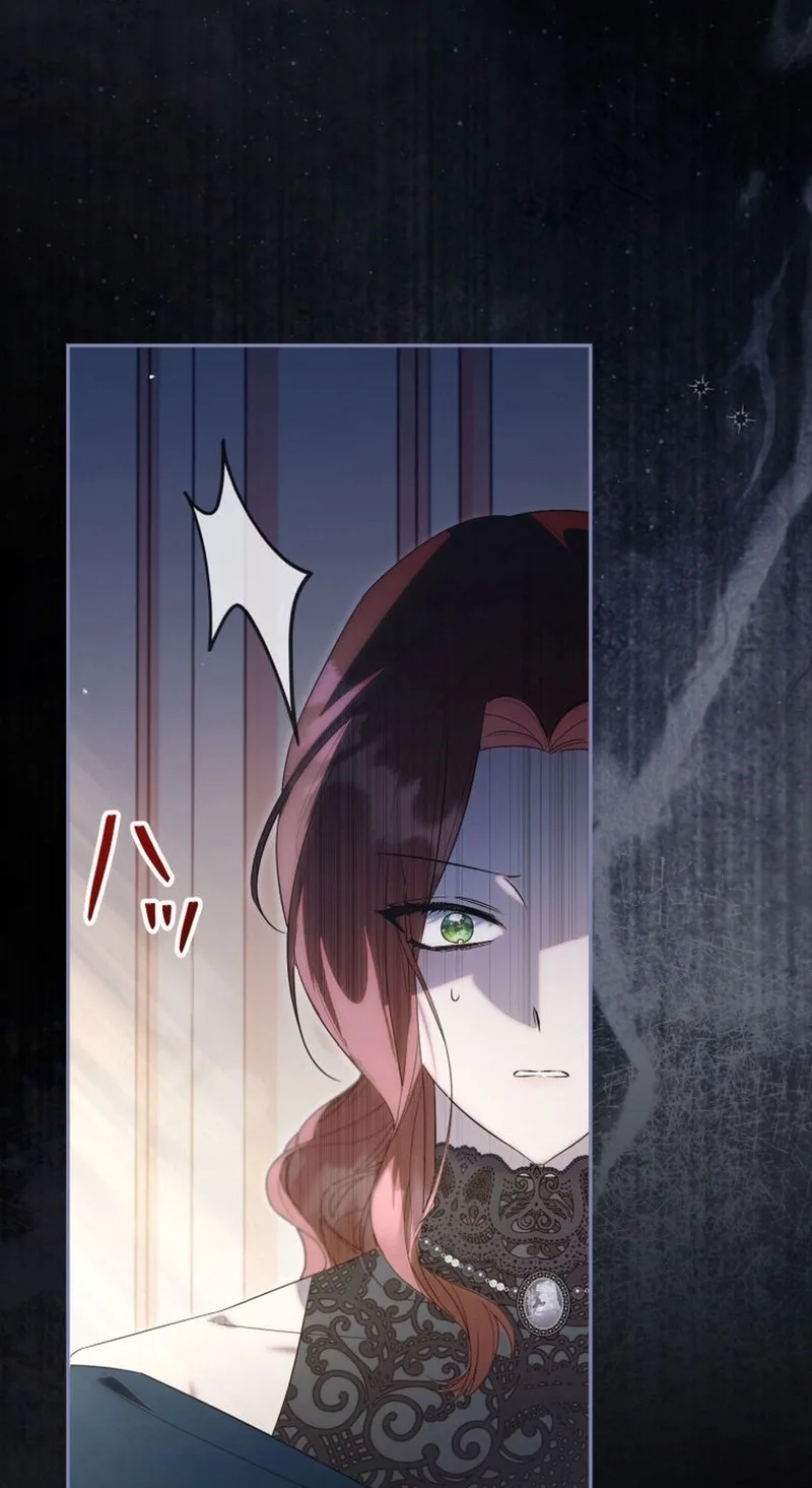 The Tyrant’s Obsession with the Dying Empress Chapter 33 page 9
