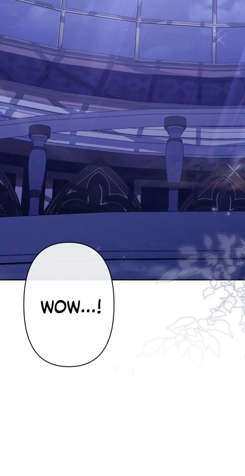 The Tyrant’s Obsession with the Dying Empress Chapter 33 page 85