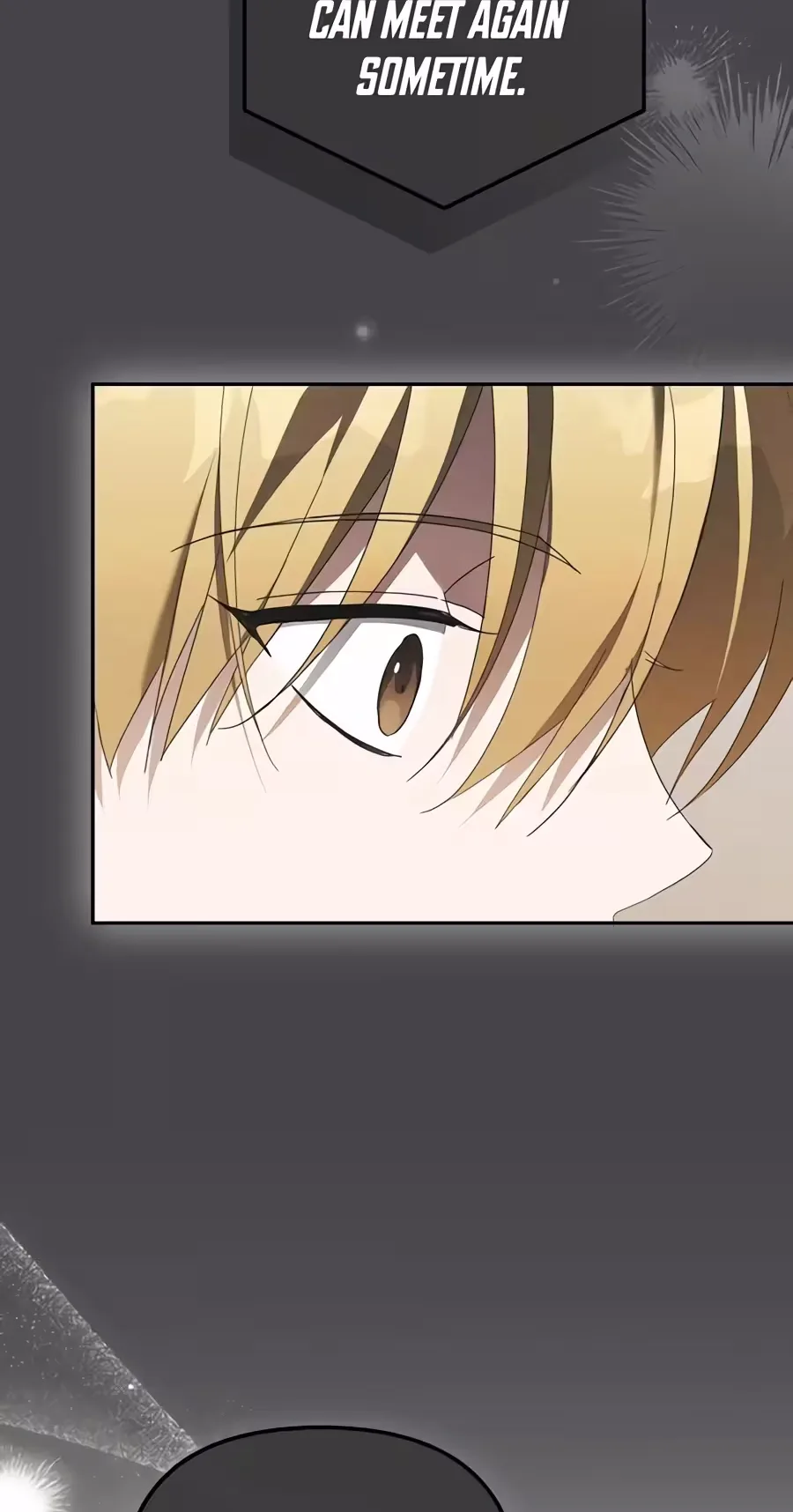 The Lucky Plan of an Idol in His Second Life Chapter 40 page 67