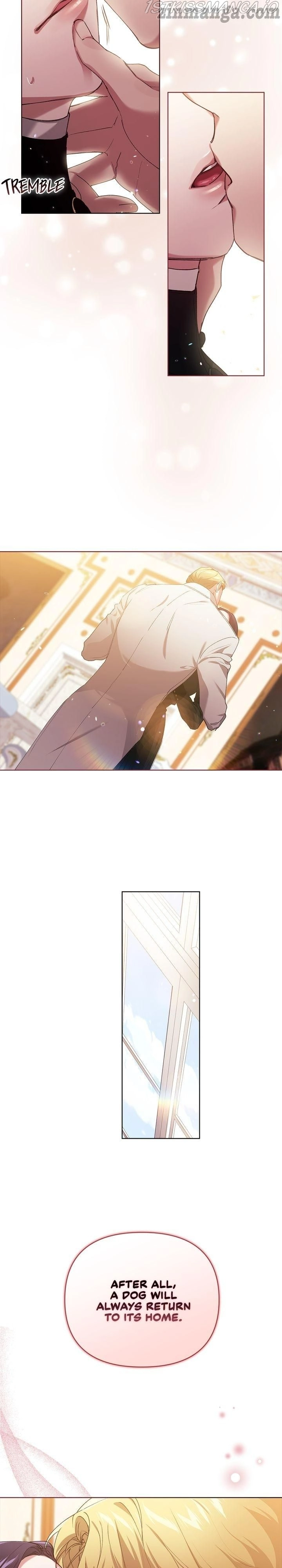 The Broken Ring: This Marriage Will Fail Anyway Chapter 14 page 16