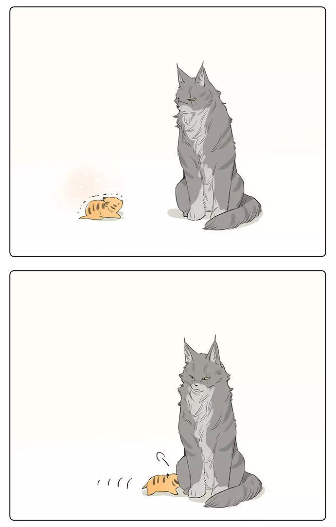 Papa Wolf and The Puppy Chapter 34 page 5