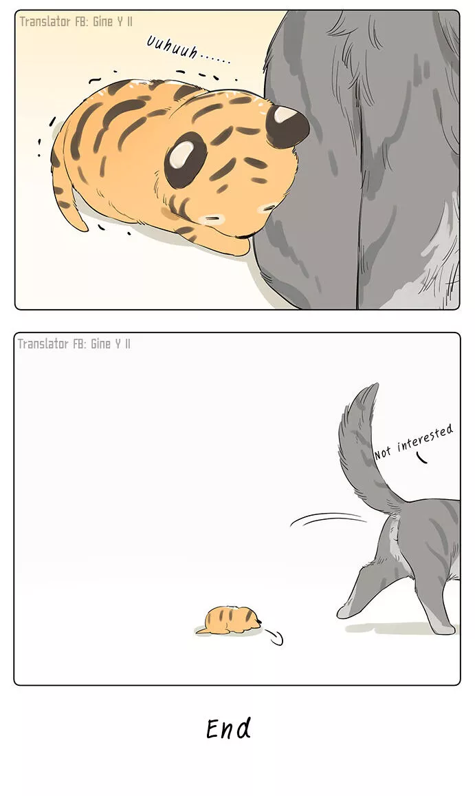 Papa Wolf and The Puppy Chapter 34 page 6