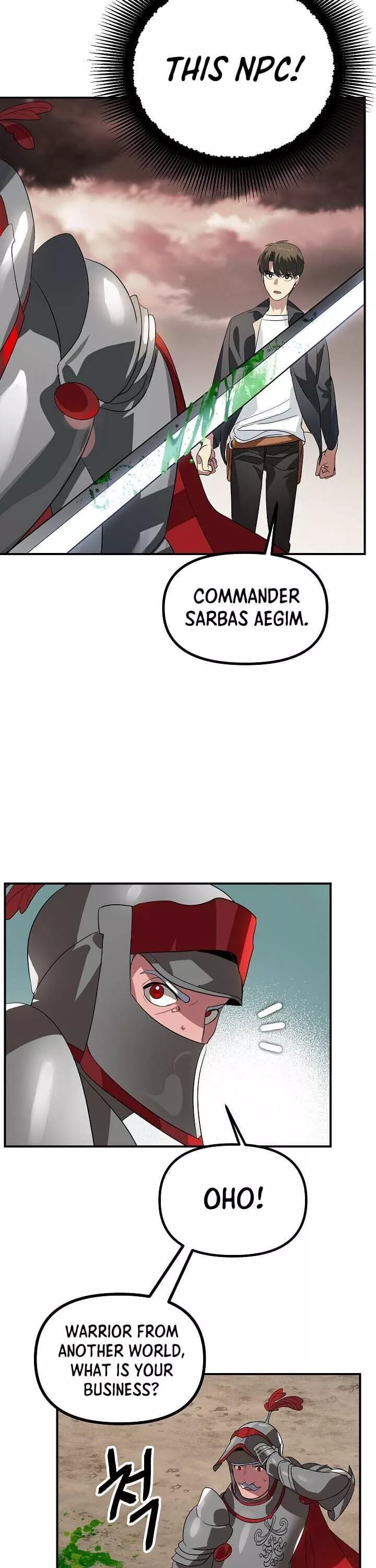 SSS-Class Suicide Hunter Chapter 20 page 29