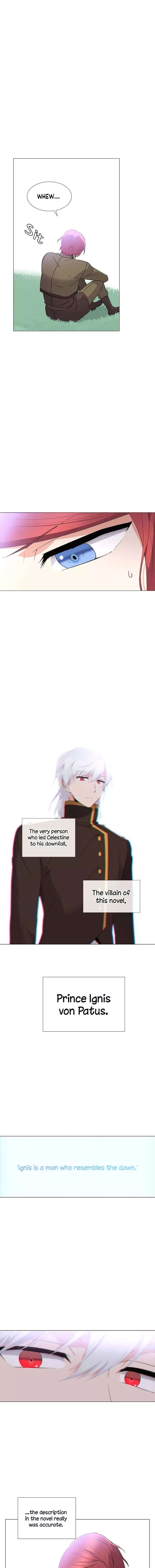 The Villain Discovered My Identity Chapter 2 page 11