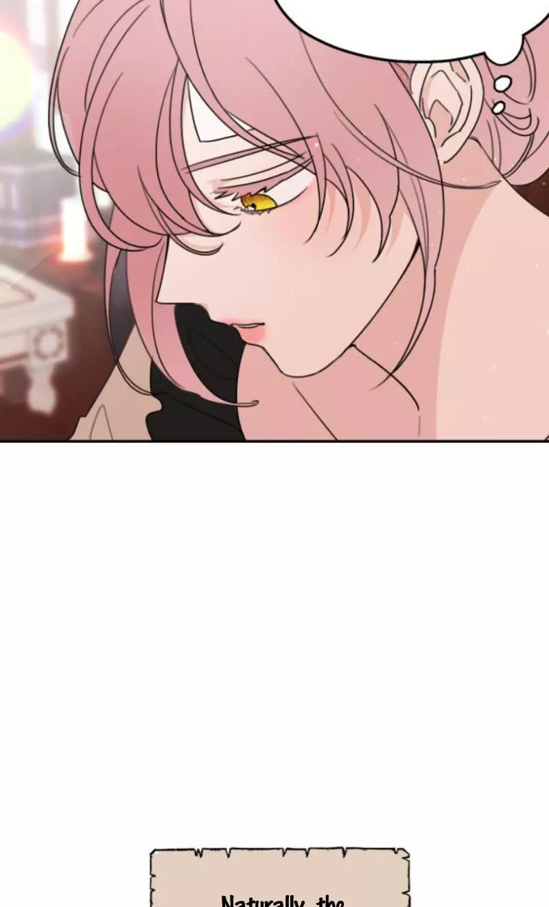 My In-laws are Obsessed With Me Chapter 11 page 4