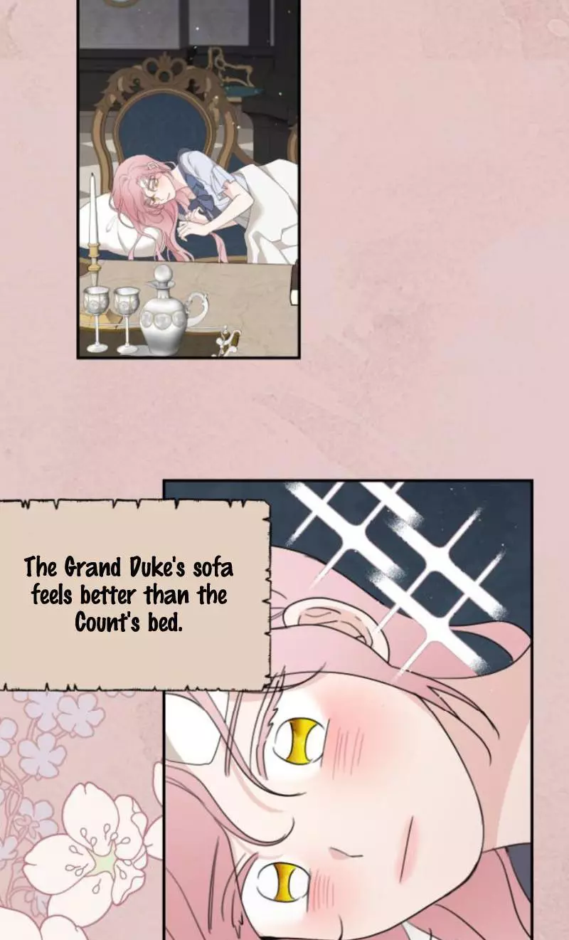My In-laws are Obsessed With Me Chapter 11 page 28