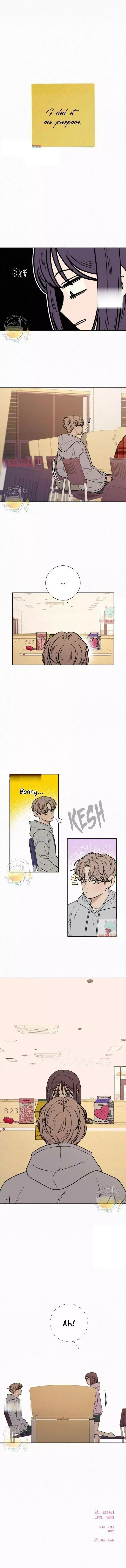 Pure Love Operation Chapter 33 page 13