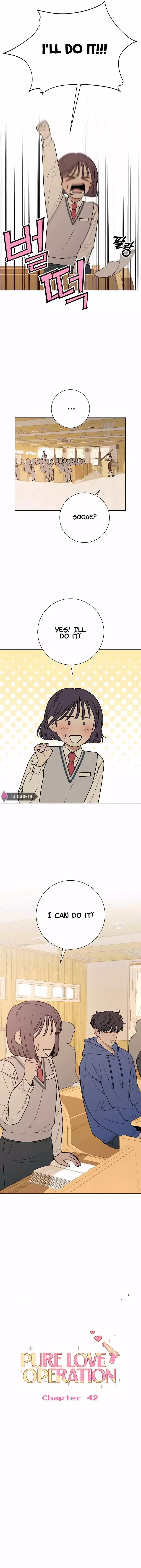 Pure Love Operation Chapter 42 page 7