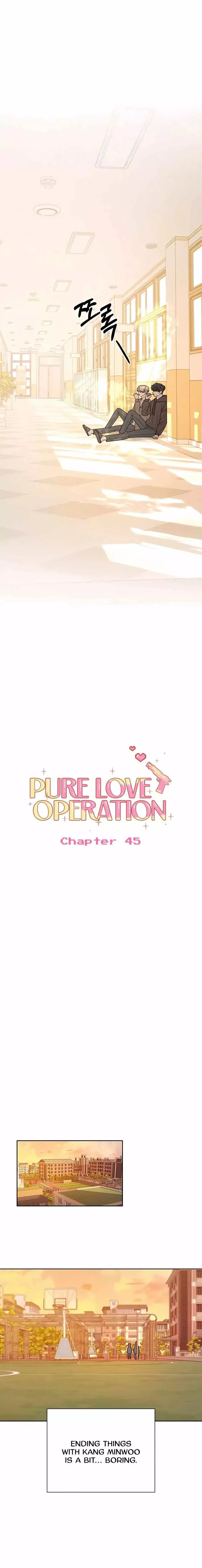 Pure Love Operation Chapter 45 page 12