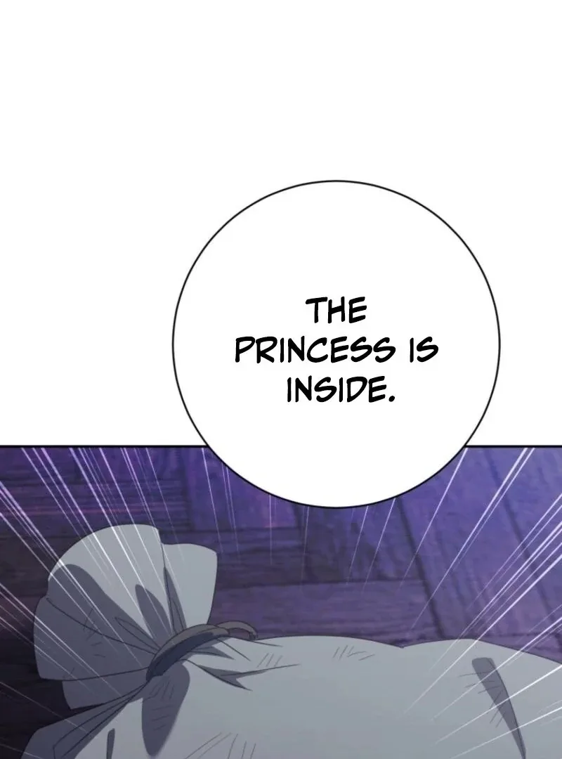The Princess is Evil Chapter 166 page 102