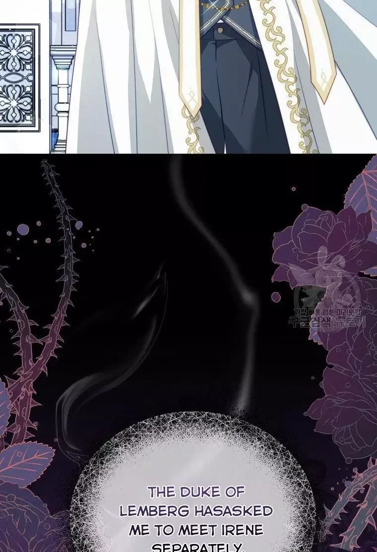 I Have Become The Hero’s Rival Chapter 14 page 71