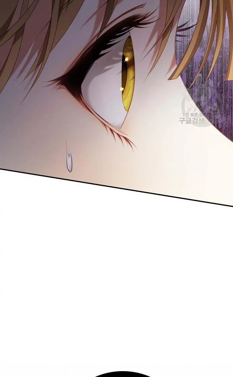 I Have Become The Hero’s Rival Chapter 20 page 97