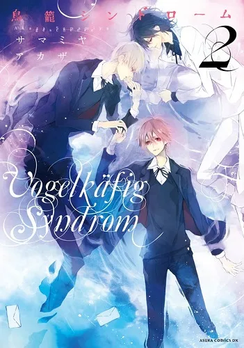 Torikago Syndrome cover