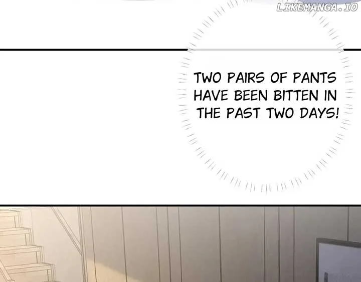 Everyone’s Darling Chapter 150 page 28