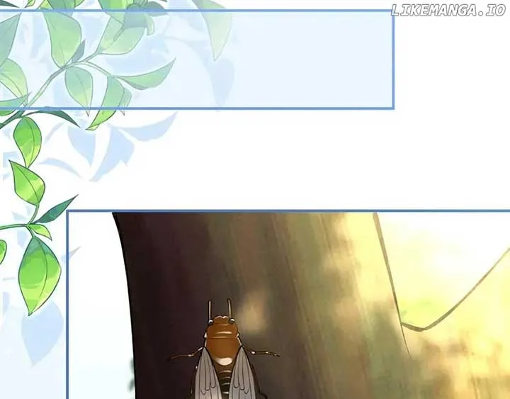 Everyone’s Darling Chapter 151 page 33